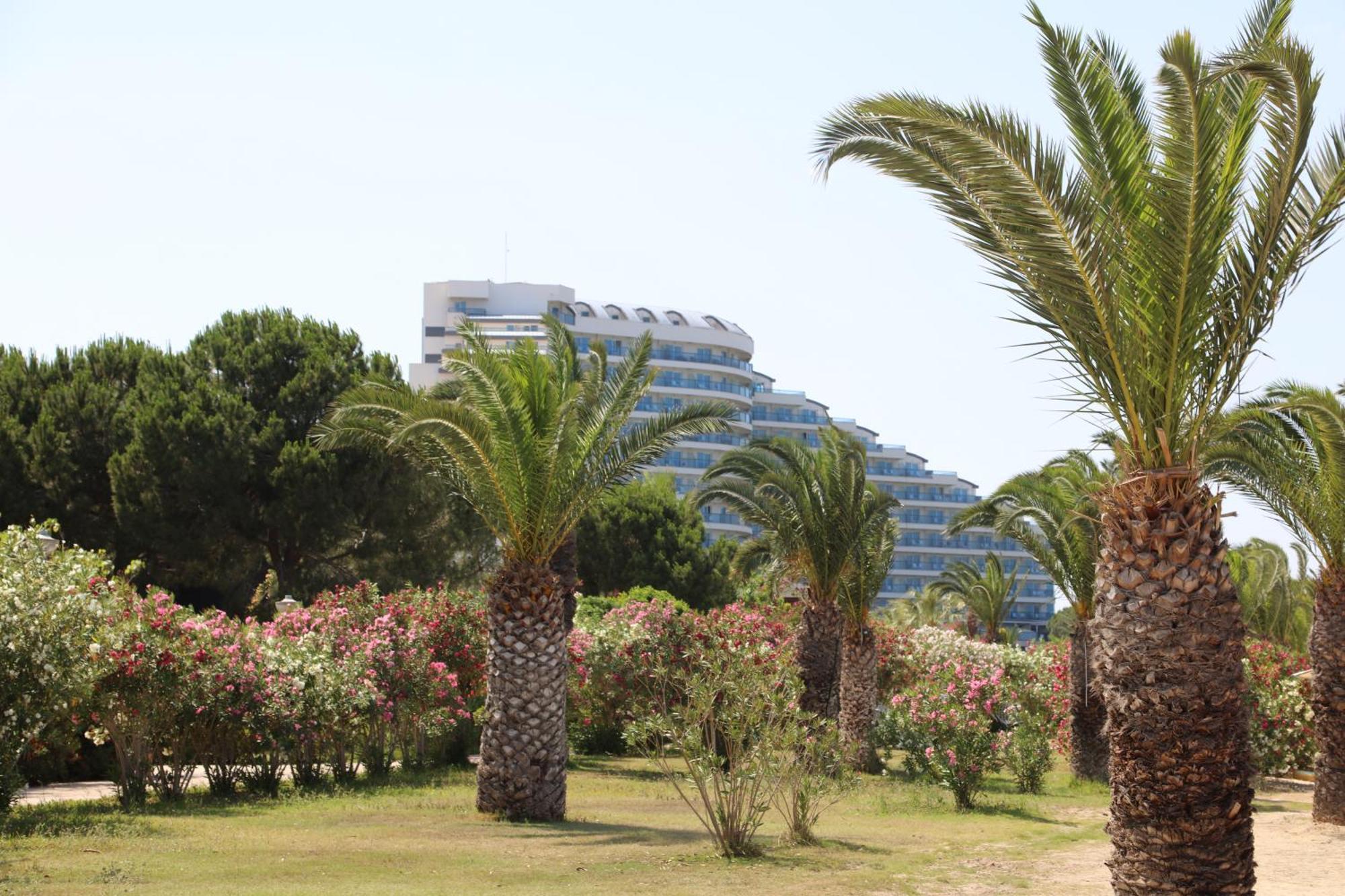 Venosa Beach Resort & Spa Didim Exteriér fotografie